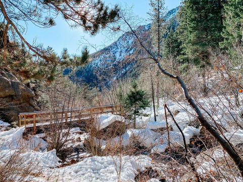 North Cheyenne Cañon Park and Starsmore Discovery Center-科罗拉多斯普林斯必去景点