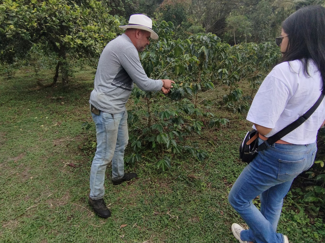 El Recuerdo Finca Cafetera Tradicional-萨伦托必去景点