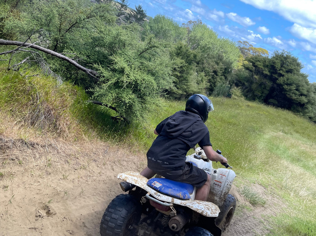 4Track Adventures-奥克兰中心地区必去景点