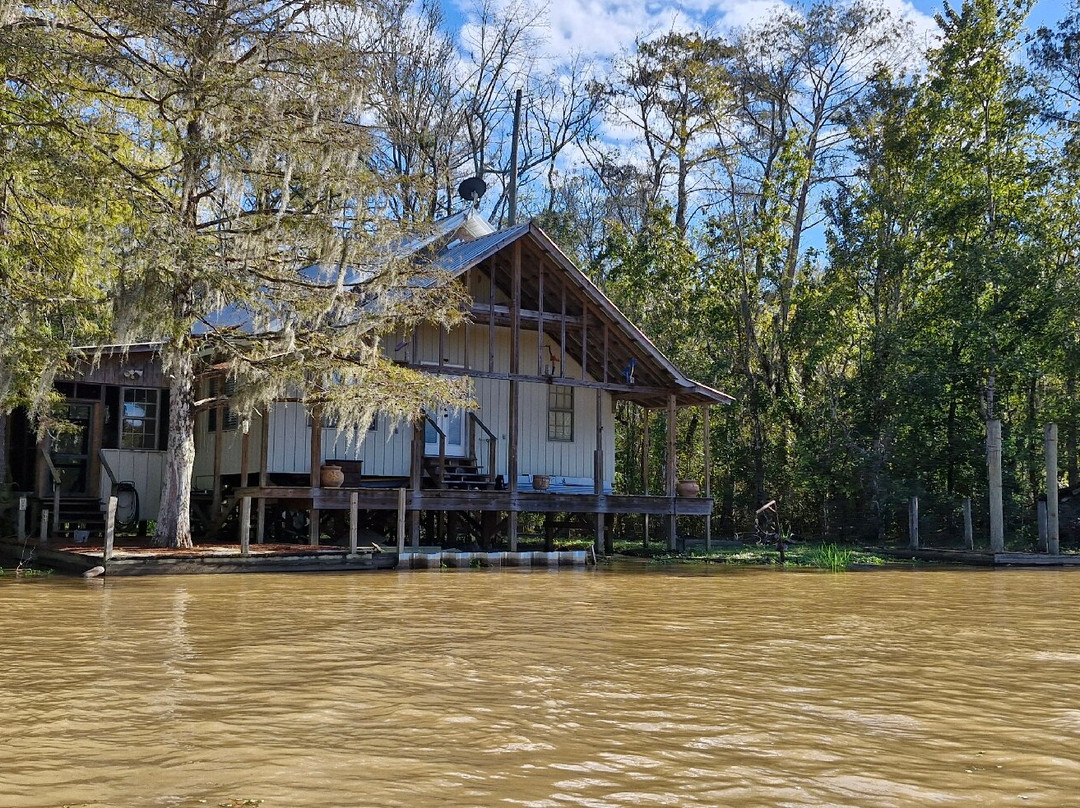New Orleans Swamp Tours景点图片