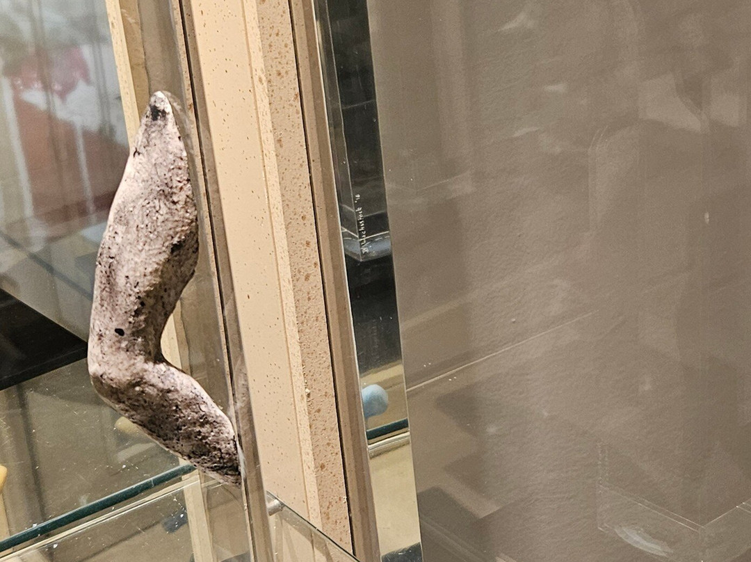 Corridor Contemporary Gallery-特拉维夫必去景点