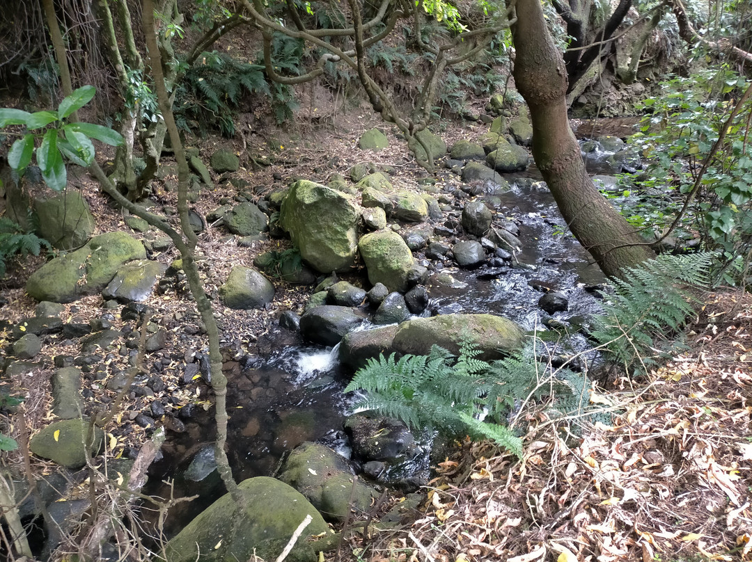 Orton Bradley Park-南岛必去景点