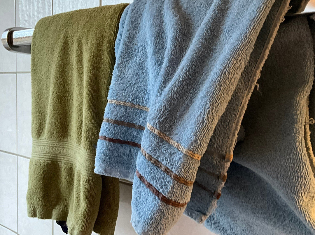 Bayrischer Hof主图