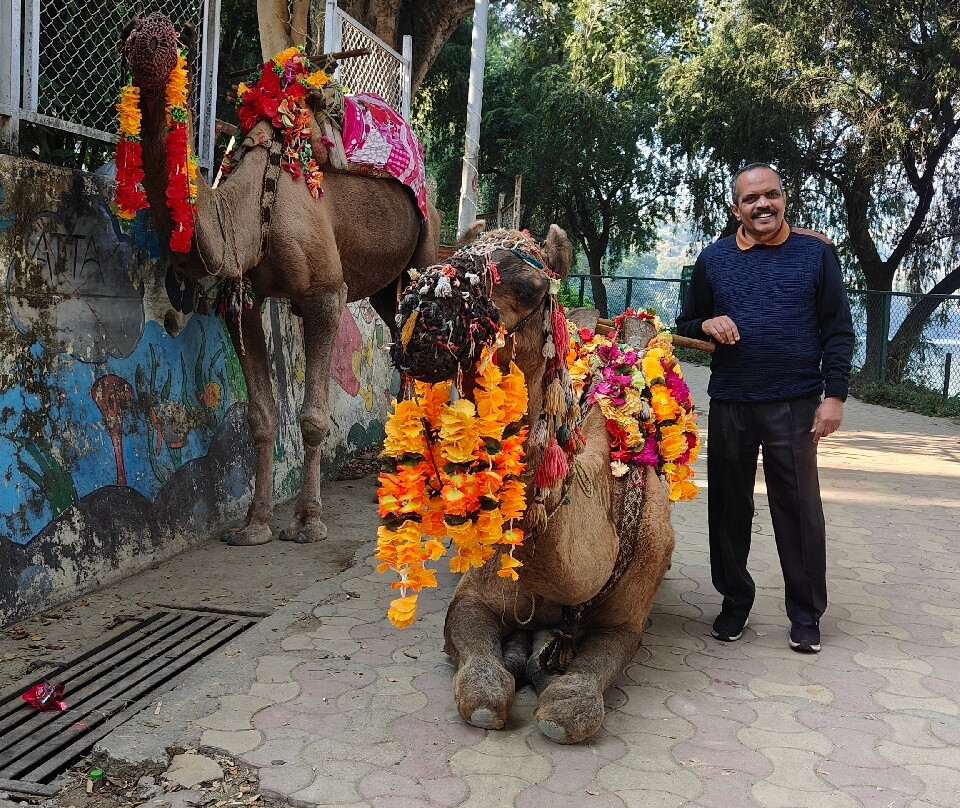 Mansar Lake-Mansar必去景点