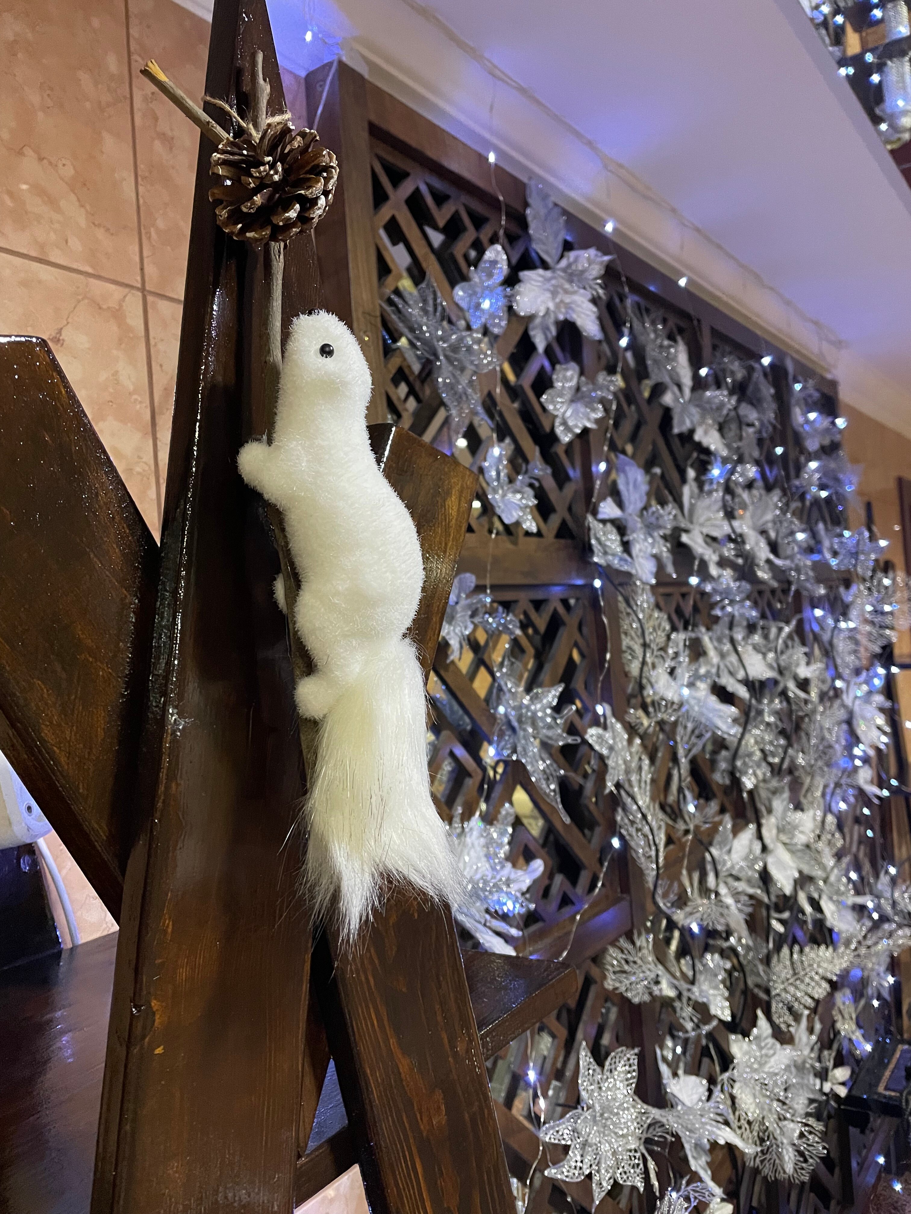 Zhemchuzhina Sibiri Hotel-官方
