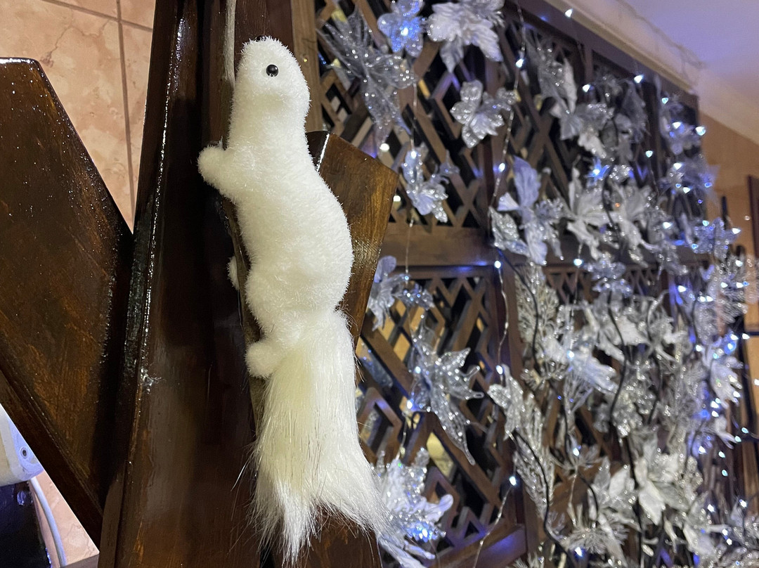 Zhemchuzhina Sibiri Hotel主图