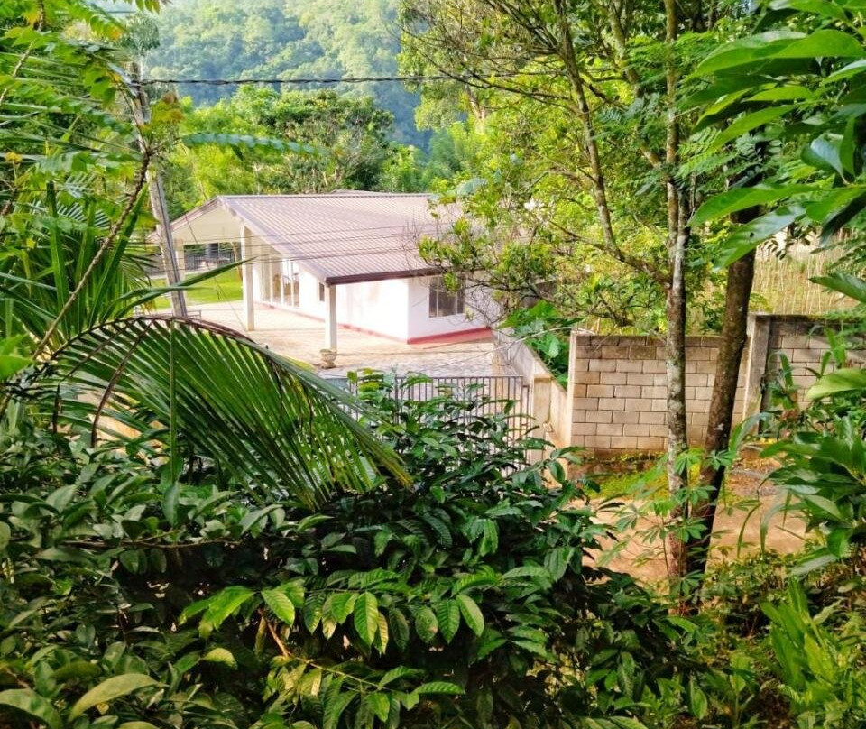 Hanthana View Homestay