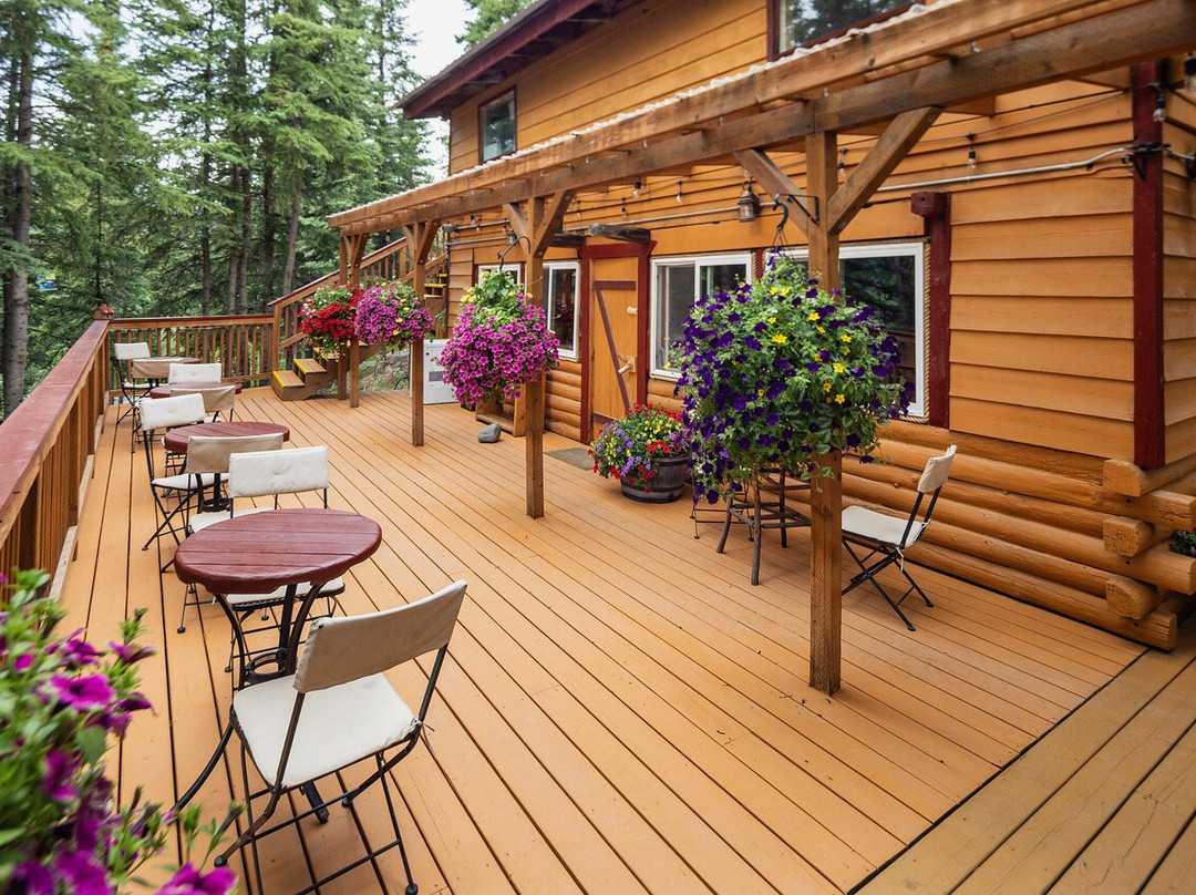 迪纳利乌鸦小巢假日公园主图