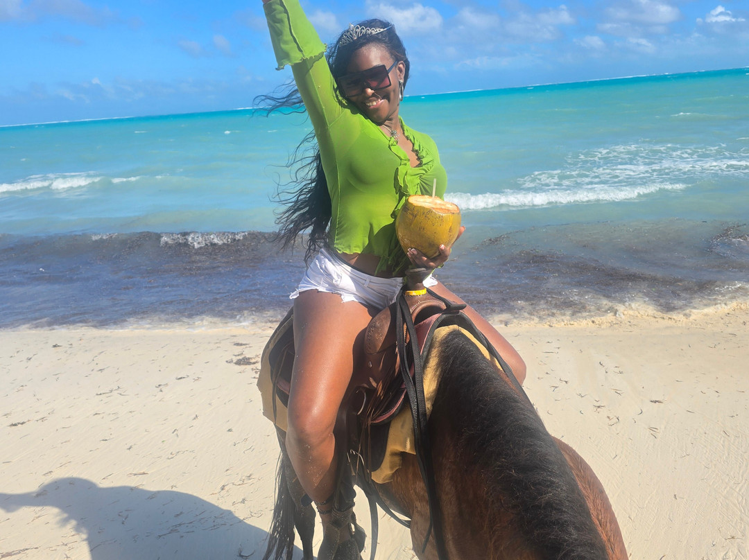 7p-Jey-Horse-普罗维登西亚莱斯必去景点