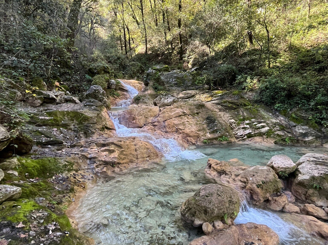 Parque Natural La Estanzuela景点图片