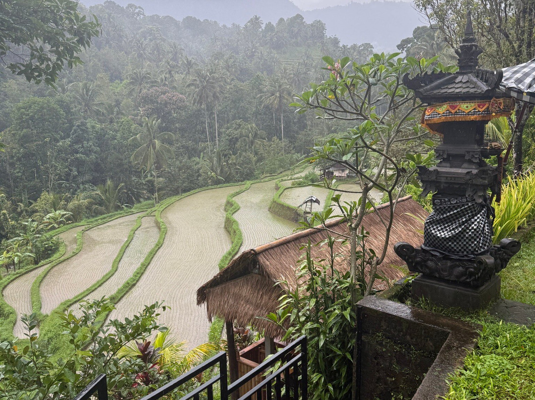 Buda's Homestay Lemukih主图