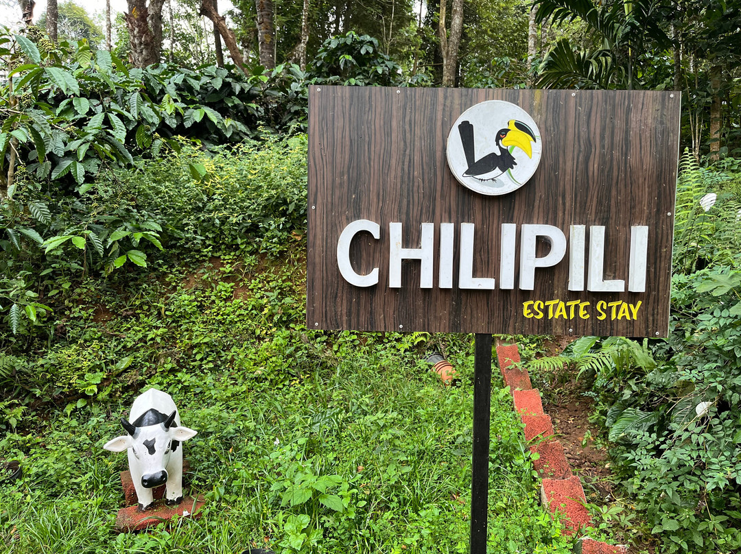Chilipili Estate Stay主图