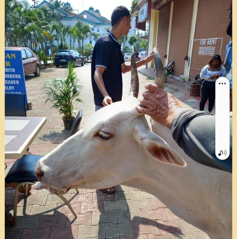 唐娜萨玛丽亚酒店主图