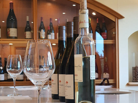 Ventoux Prestige VTC-Modene必去景点