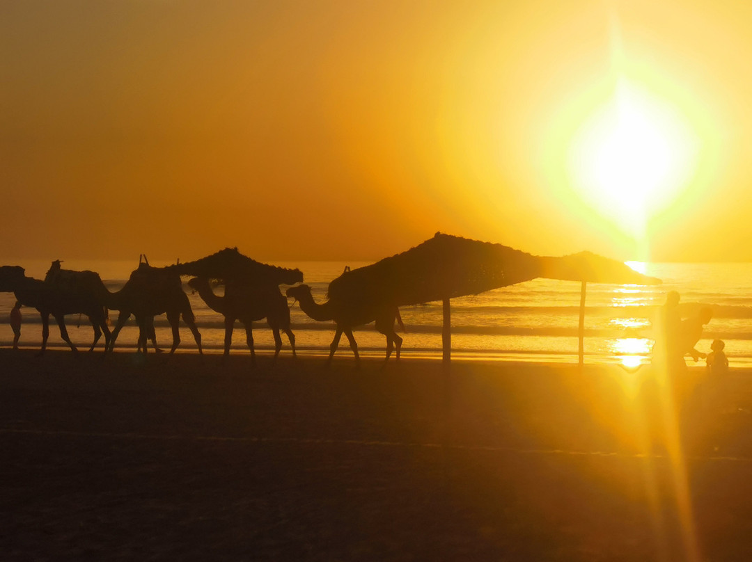 Ranch Berbère À Sidi Kaouki - Essaouira-Sidi Kaouki必去景点