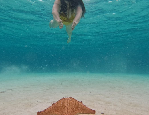 Eco Excursioning-考祖梅必去景点