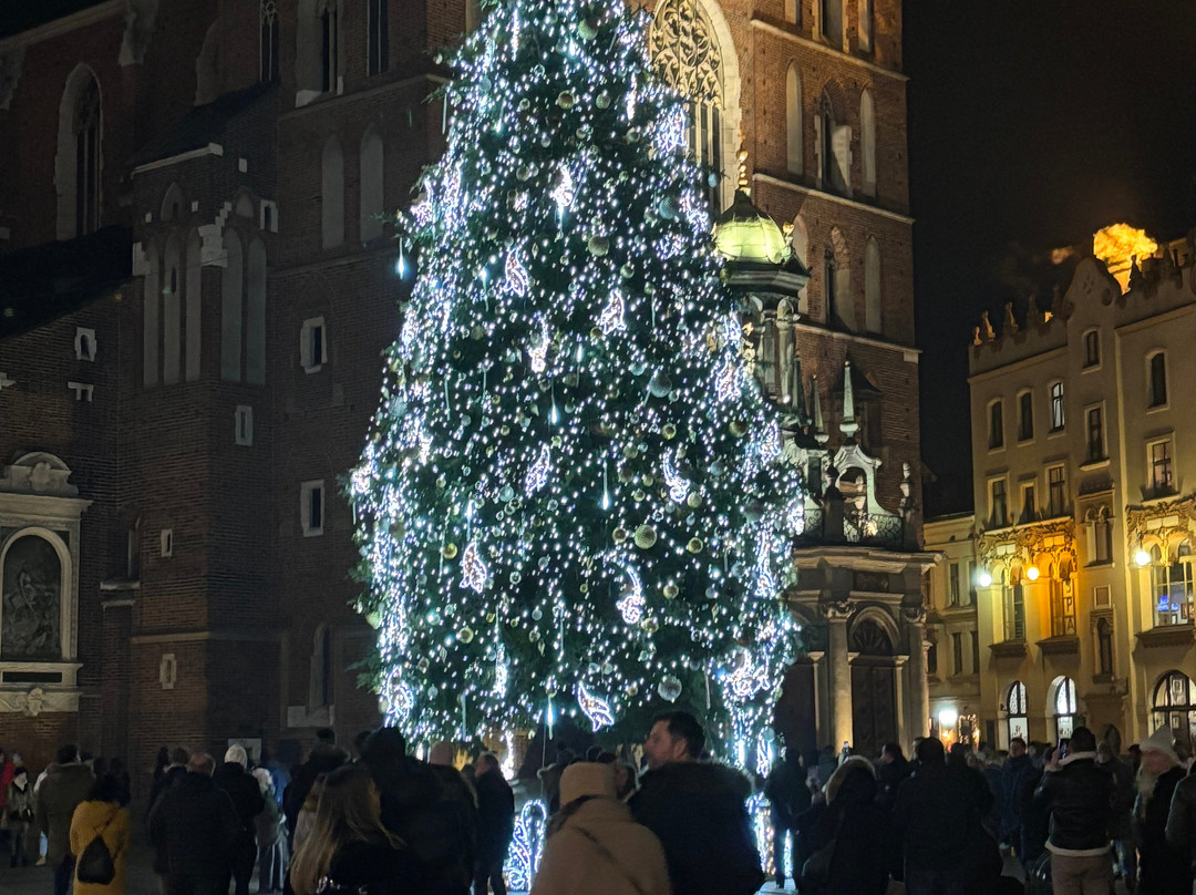 SpecTrips - Transport & Tourism-克拉科夫必去景点