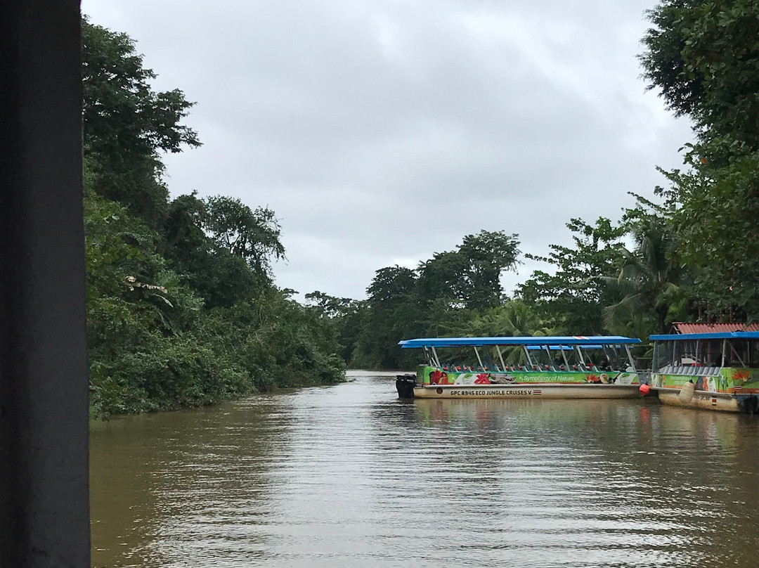 Tortuguero Canal景点图片