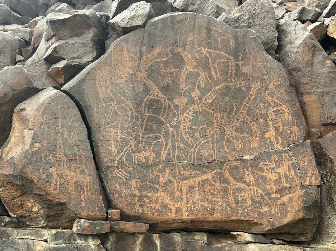 Day Forest National Park-吉布地必去景点