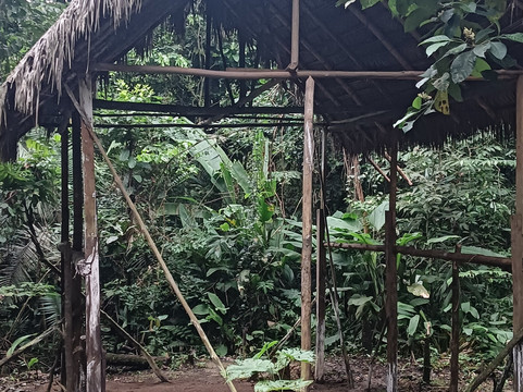 Amazon Tour Connections-莱蒂西亚必去景点