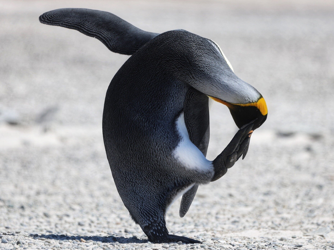 The Waterfront Boutique Hotel主图