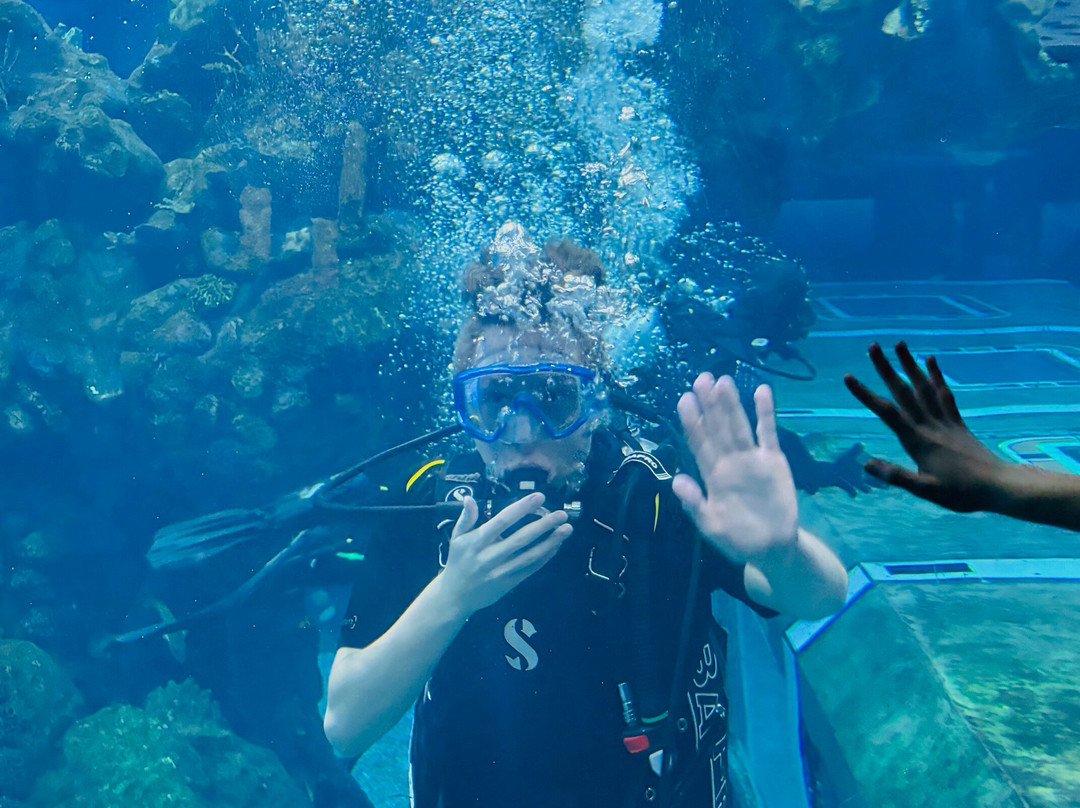 Epcot Divequest-奥兰多必去景点