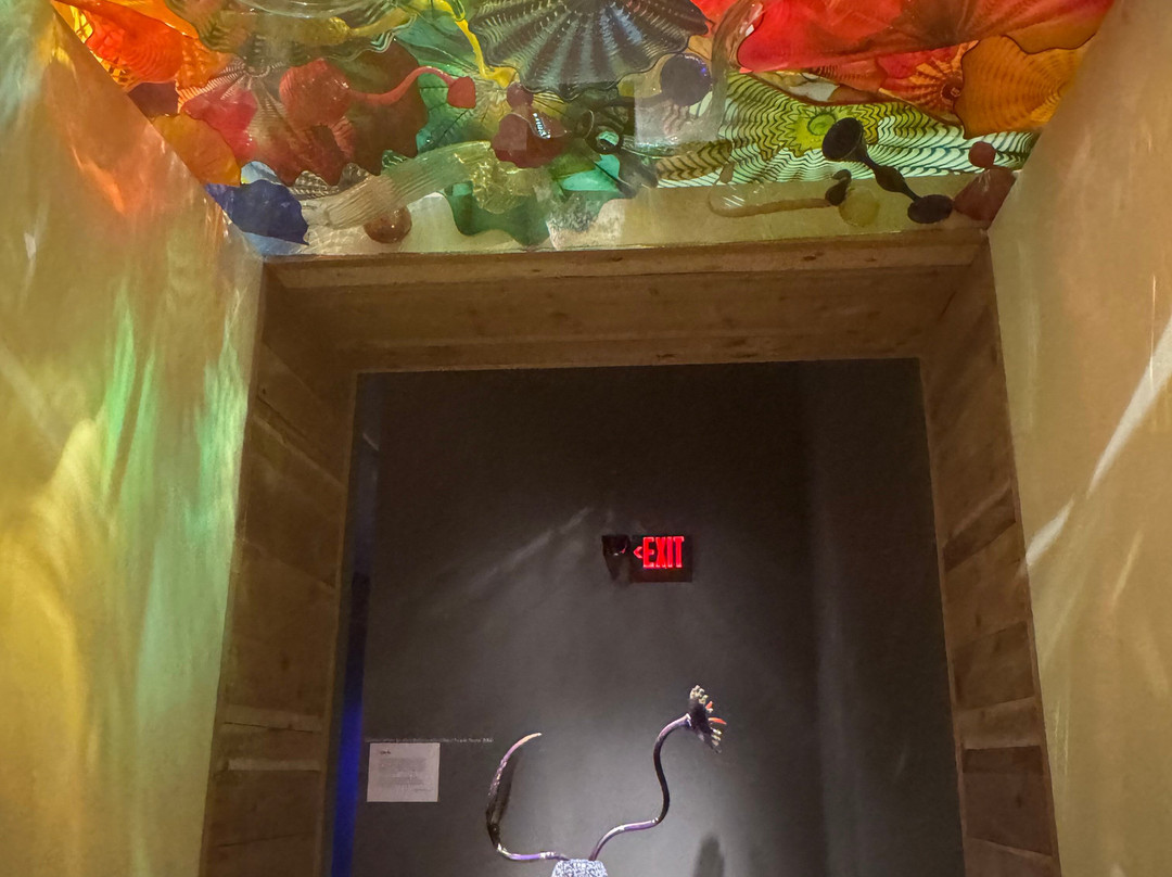 Chihuly Collection-圣彼德斯堡必去景点