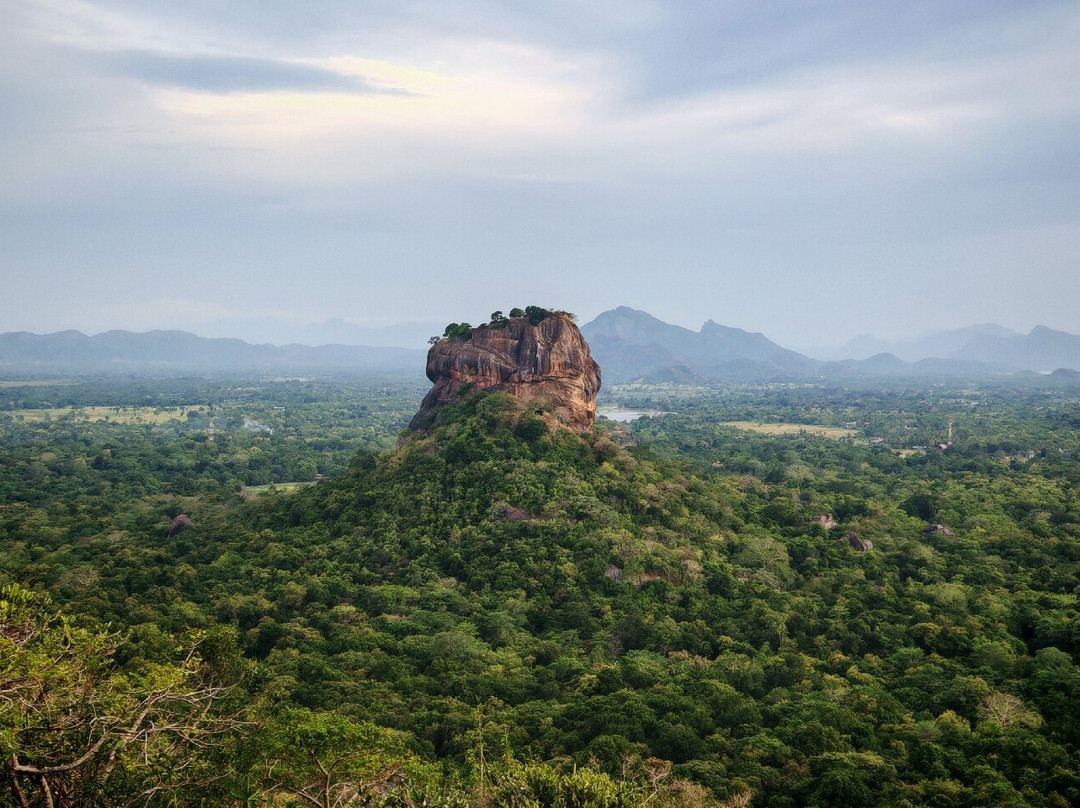 Visit Sri Lanka Holidays景点图片