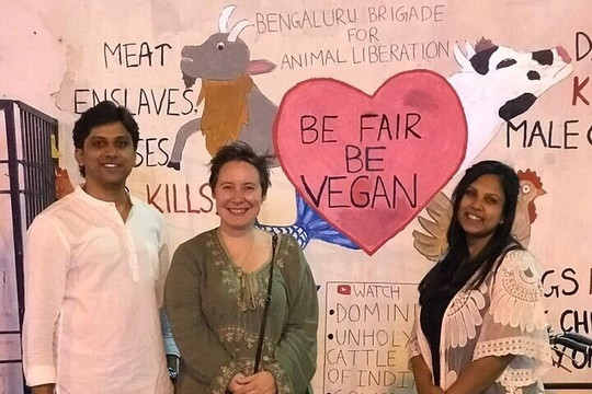 Ahimsa Travel Club-班加罗尔必去景点