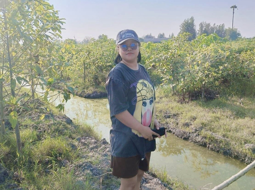 Bangkok Kratom Co., Ltd.-佛统必去景点