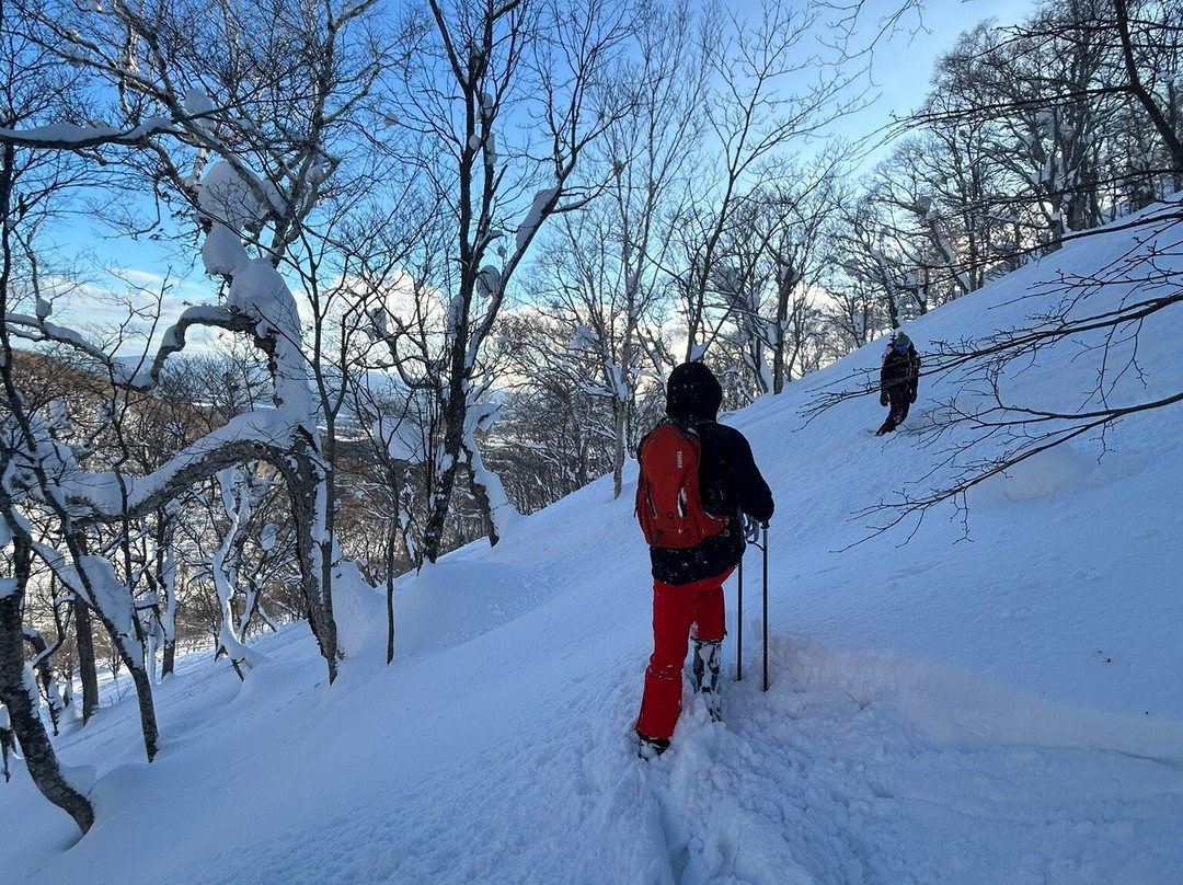 Type Two Three-兰越町必去景点