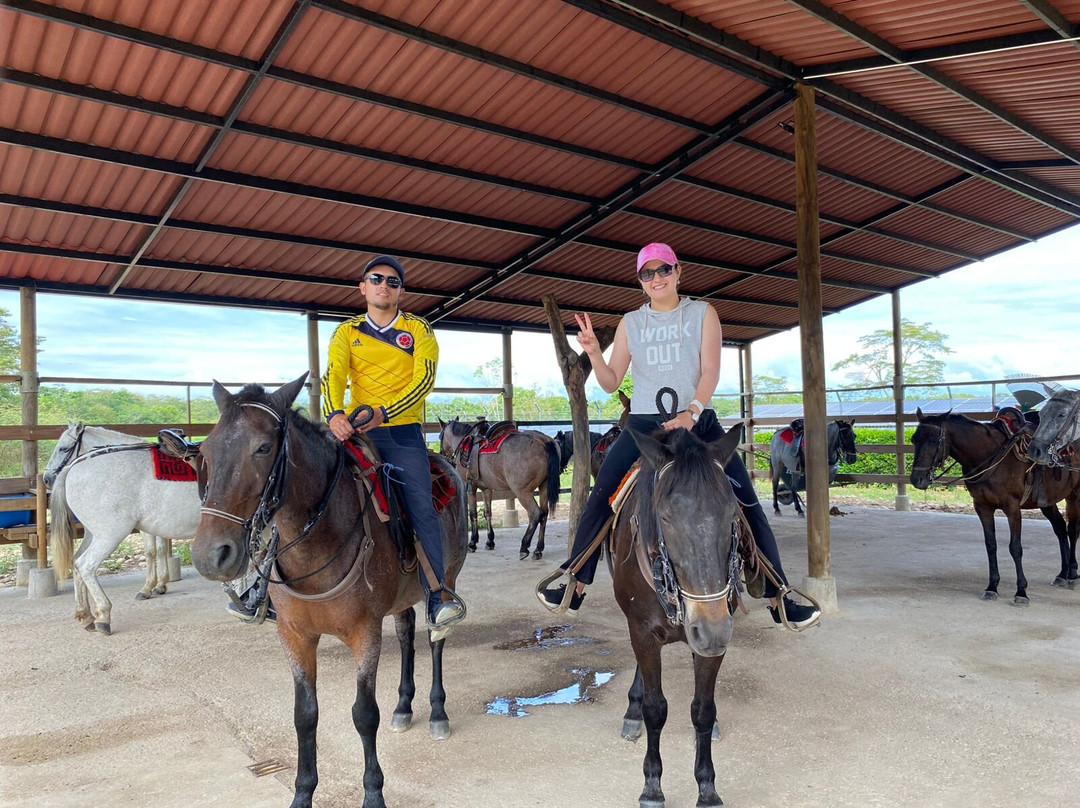 Hotel Alcaraván Colsubsidio主图