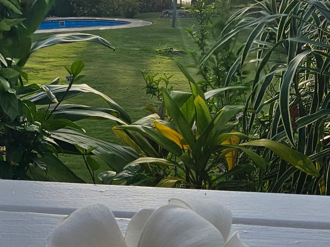 纳姆库鲁小屋温泉旅馆主图