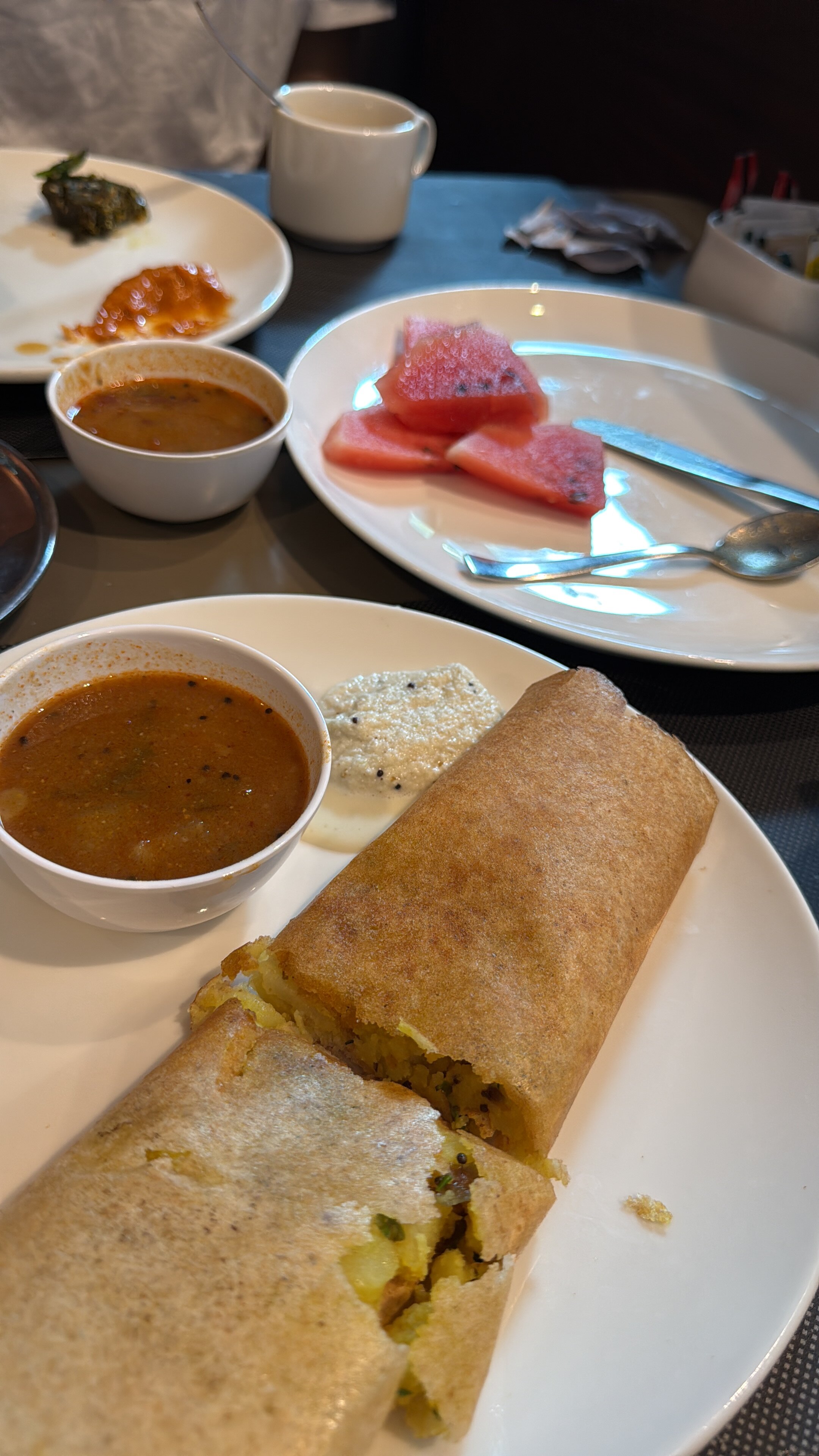 The Fern Residency Vadodara-官方