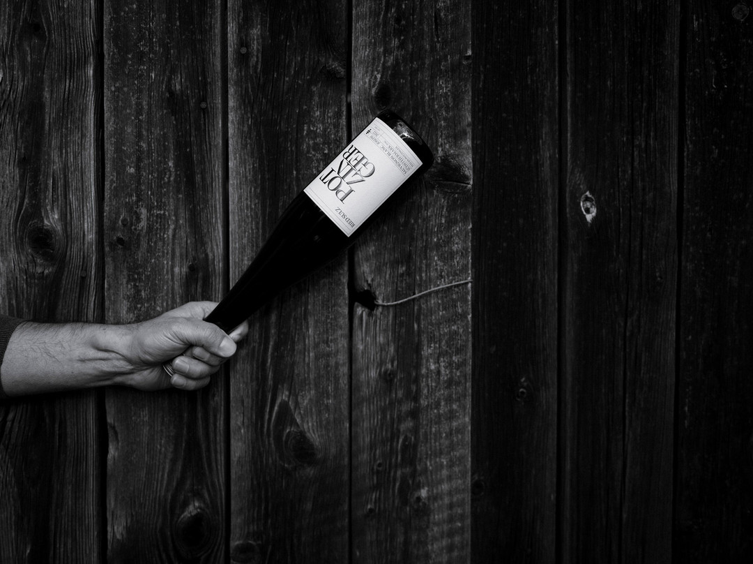 Weingut Stefan Potzinger