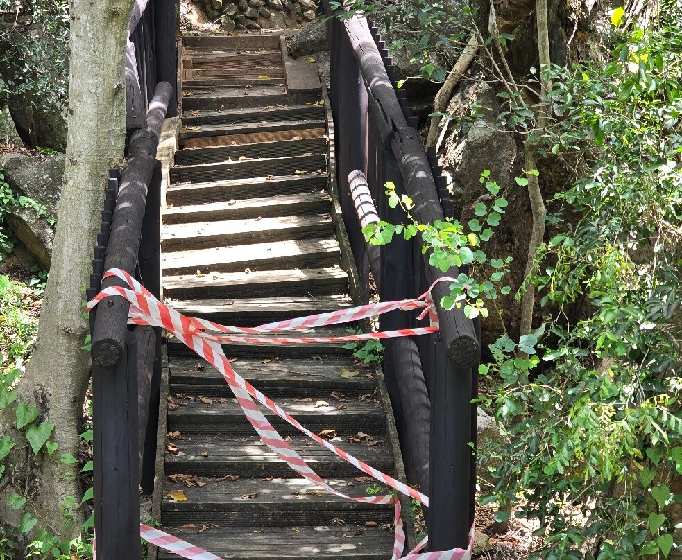 Lowveld National Botanical Garden-尼斯普鲁特必去景点