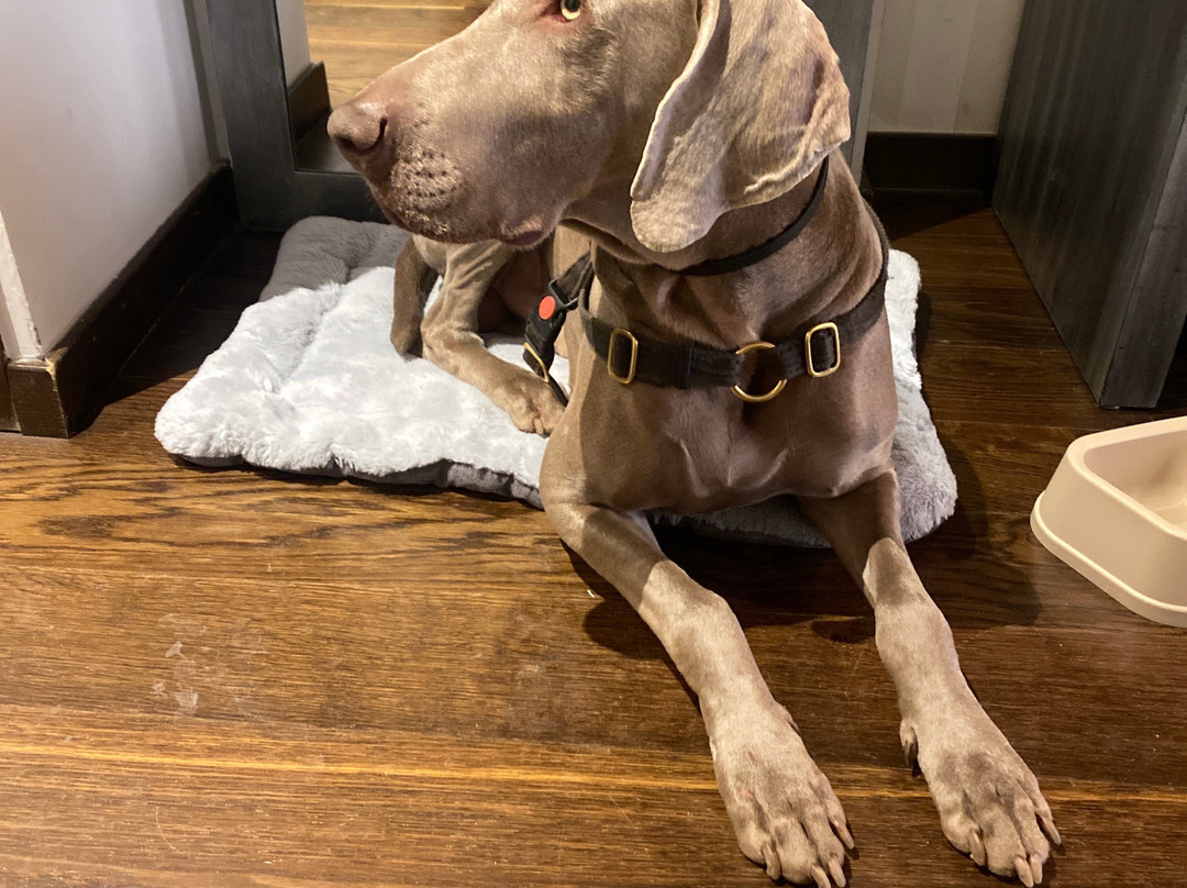 帕里塔别墅酒店主图