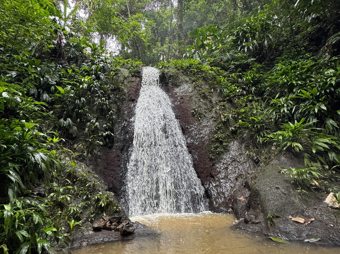 La Tierra Del Encanto-Isla Bastimentos必去景点