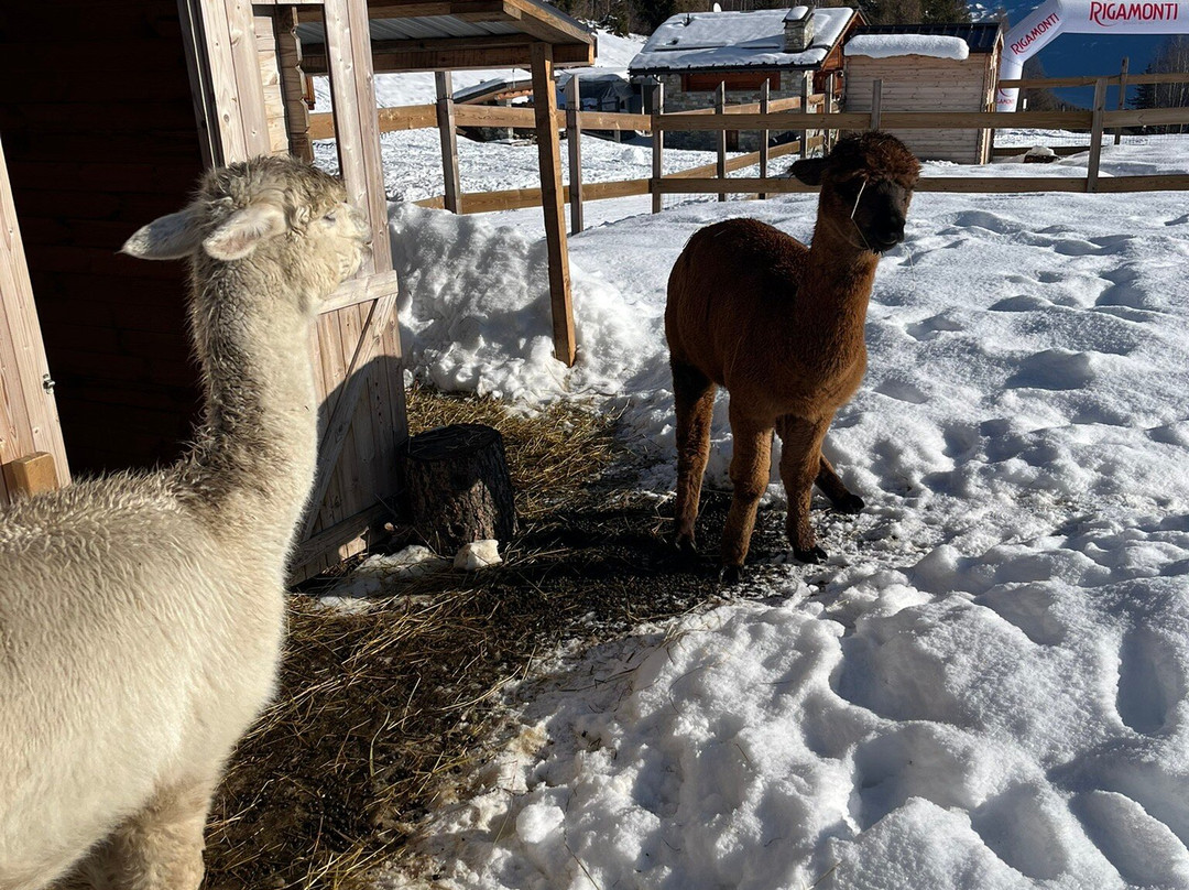 Chalet Baita del Sole主图