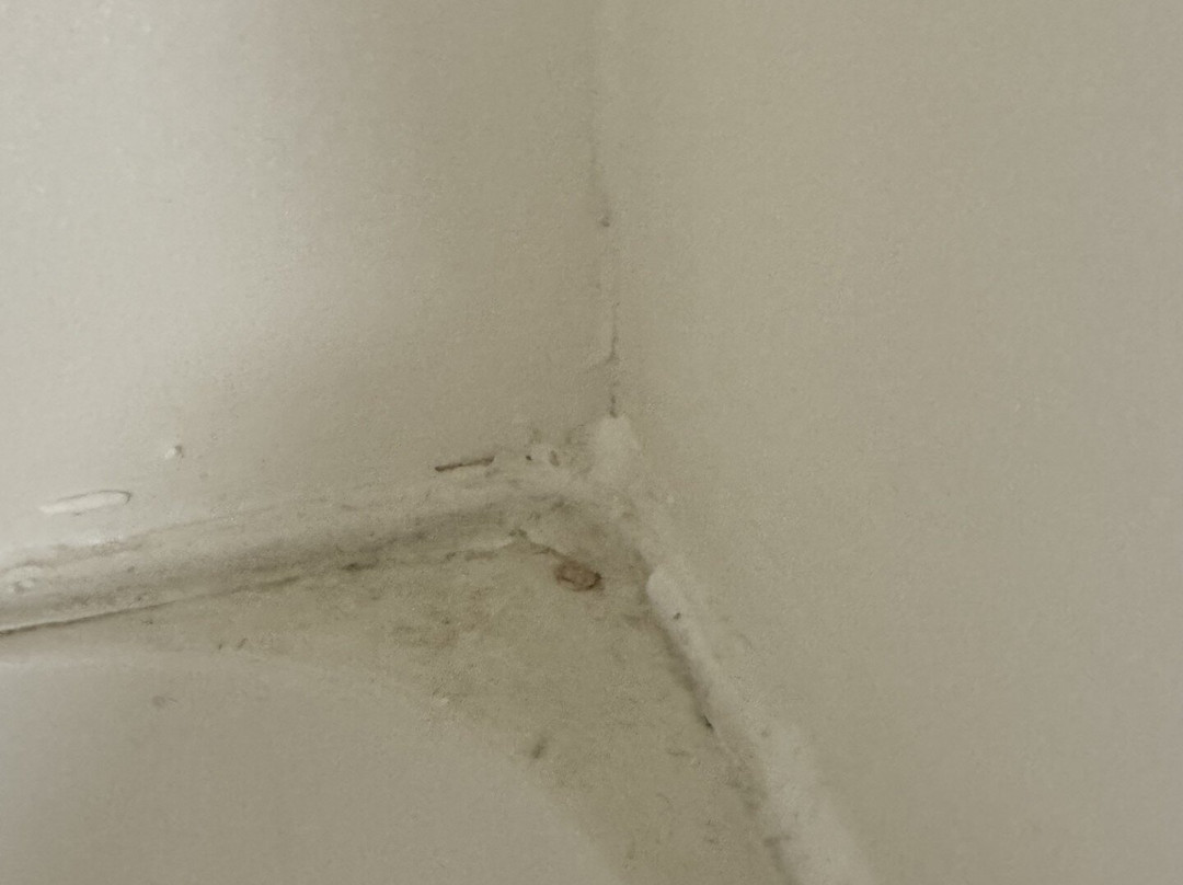 Ramada by Wyndham Surrey/Langley主图