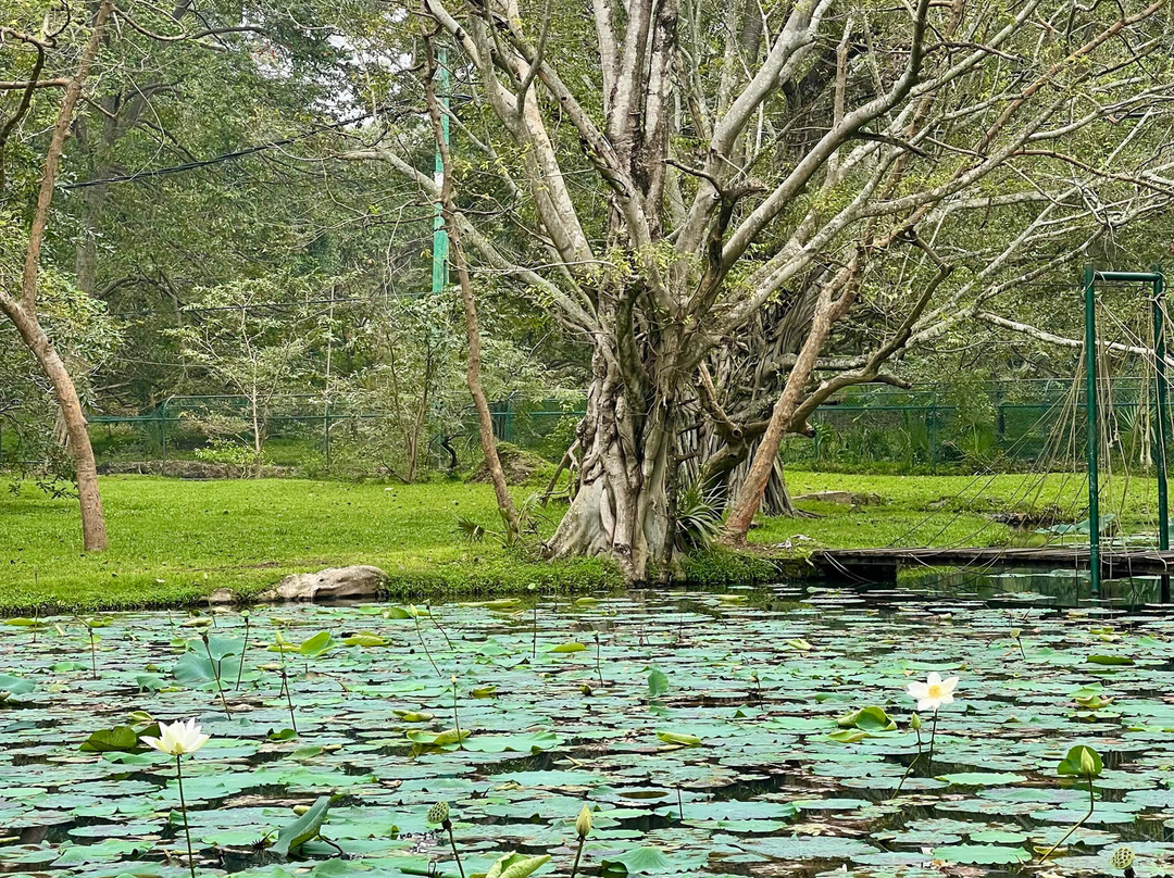 Travel with Wijaya-科伦坡必去景点