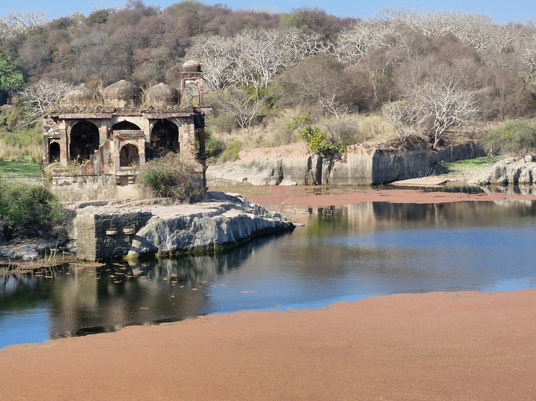 Ranthambore Fort-Ranthambhore Fort必去景点