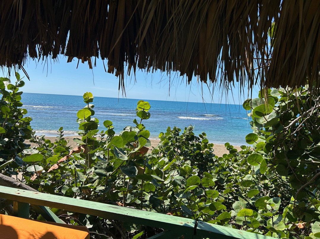 Captain Joseph Treasure Beach Adventures-瑰宝滩必去景点