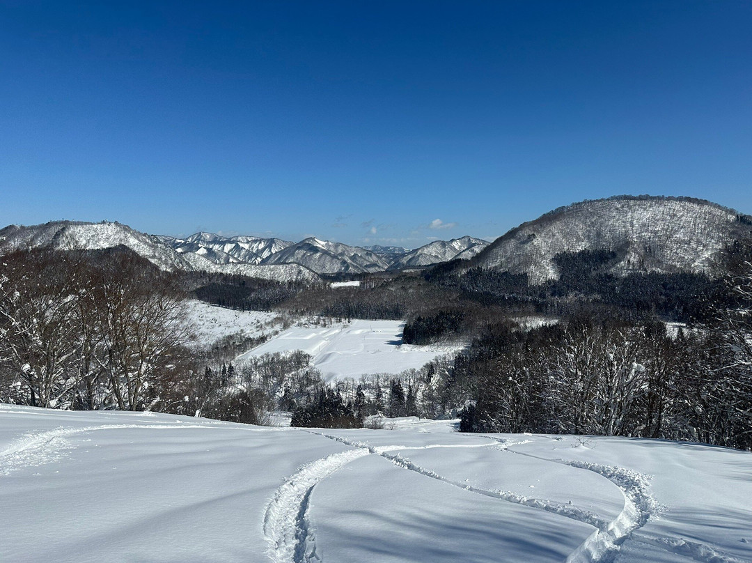 Tamanashi Onsen Ebisuya主图