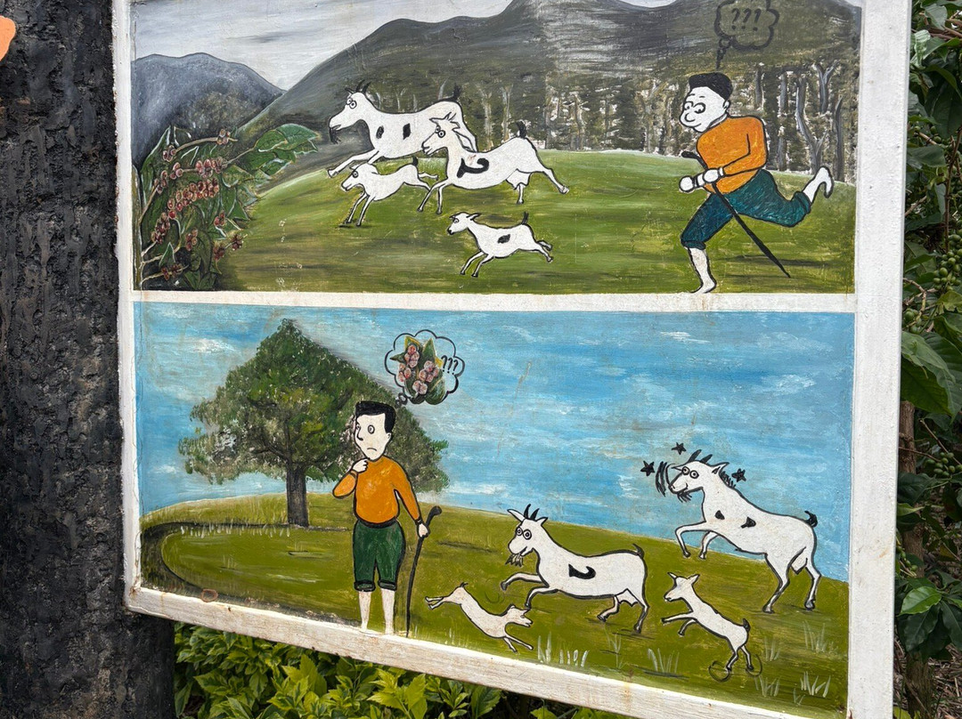 Huye Mountain Coffee景点图片