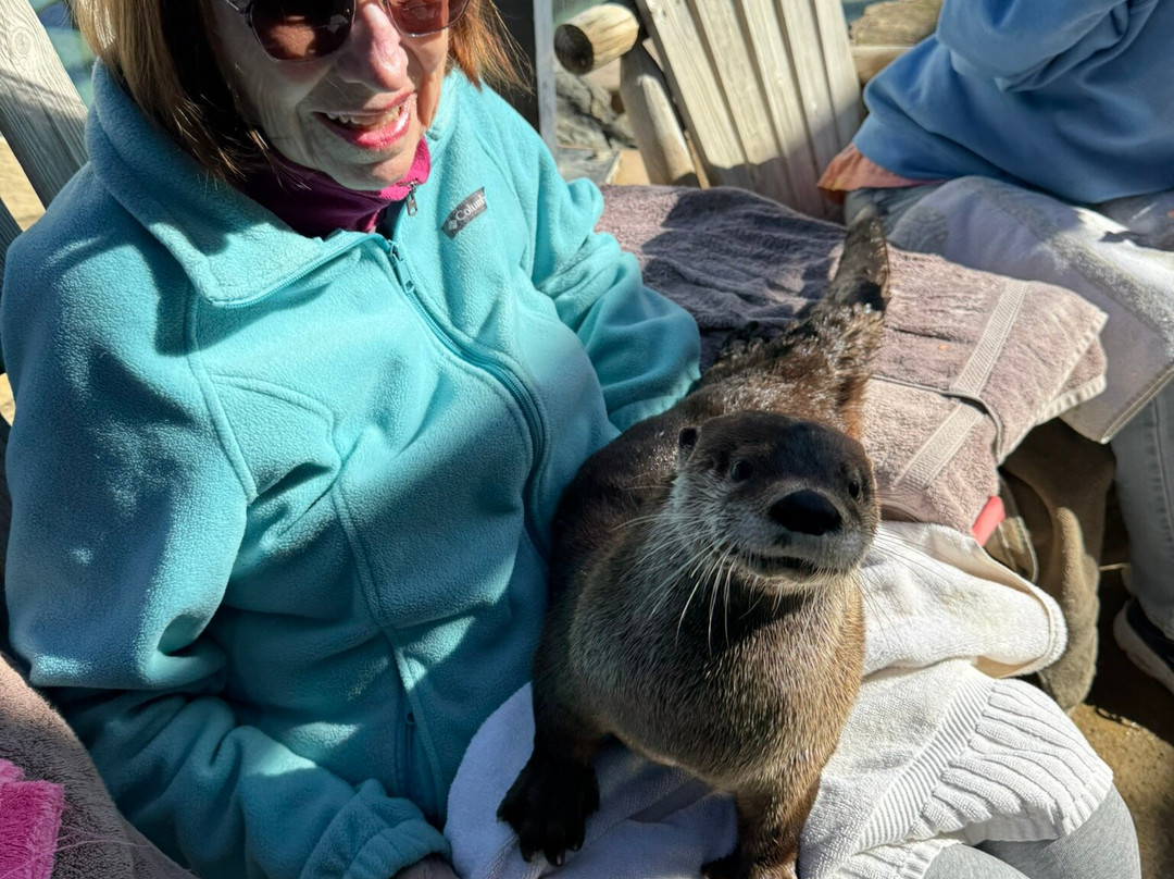 Zoo to You (Conservation Ambassadors)-帕索罗布尔斯必去景点