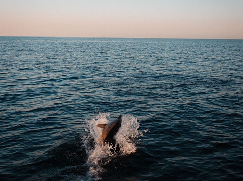 Boat Charter La Duquesa-马尼尔瓦必去景点