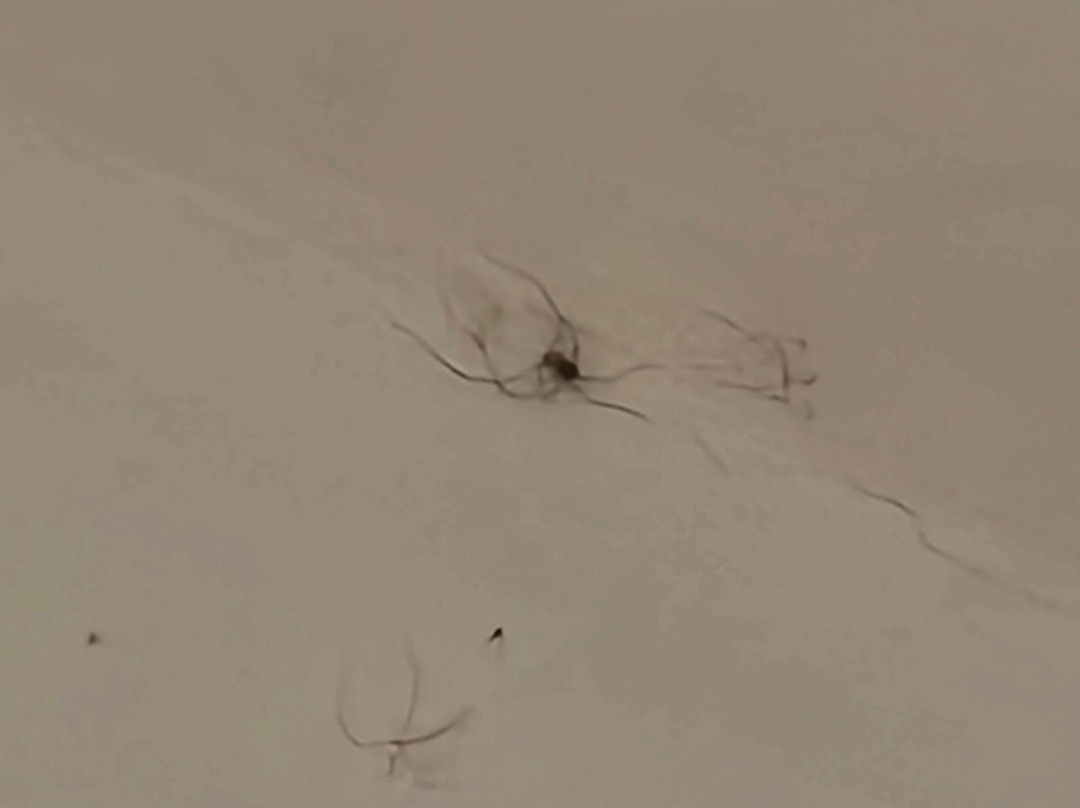 Bamboo Lodge Sacred Valley主图