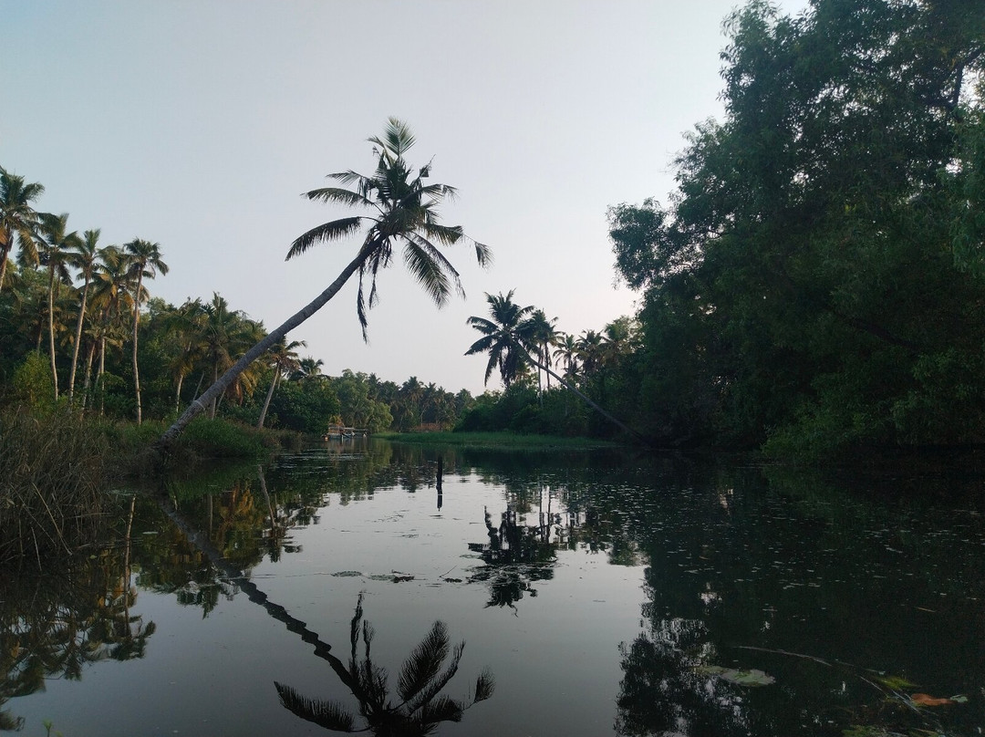 Noah Poovar Boat Service-提卢湾安塔普兰（特里凡德伦）必去景点