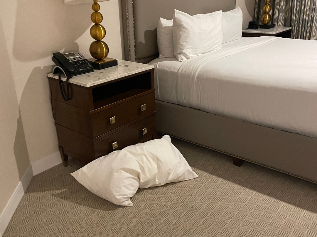 YO1 Longevity & Health Resorts主图